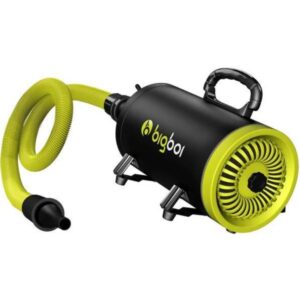 Bigboi BlowR Mini (A) touchless air dryer