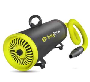 Bigboi BlowR Mini Plus touchless air dryer