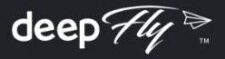 Deepfly logo 1 - dashcam security