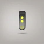 Bigboi BlowR Pro+ remote unit
